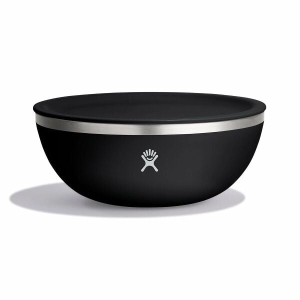 1 qt Bowl with Lid V0